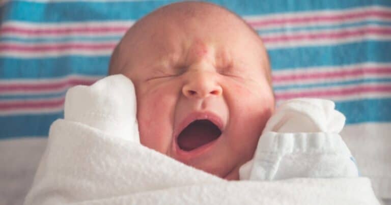Doula Services near Me in Metro Detroit