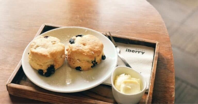 Paleo Lemon Blueberry Scones