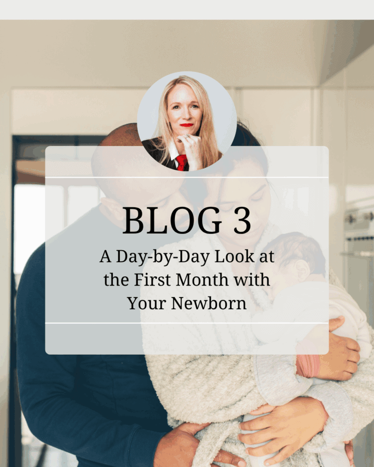 Day 3 With My Newborn