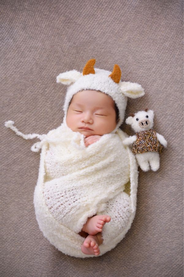 Newborn swaddled with cow bonnet