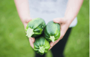 Zucchini recipe