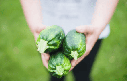 Zucchini recipe